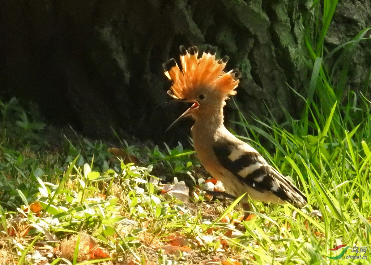 DSCN3965 ����.jpg