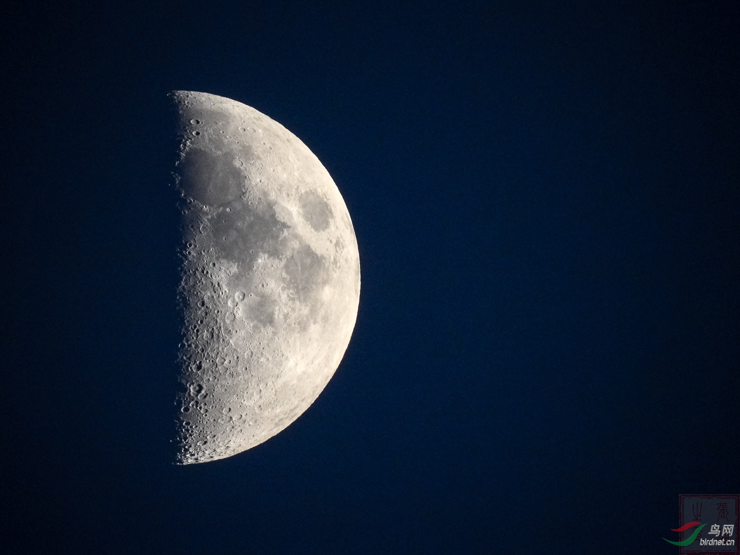 DSCN1270.jpg