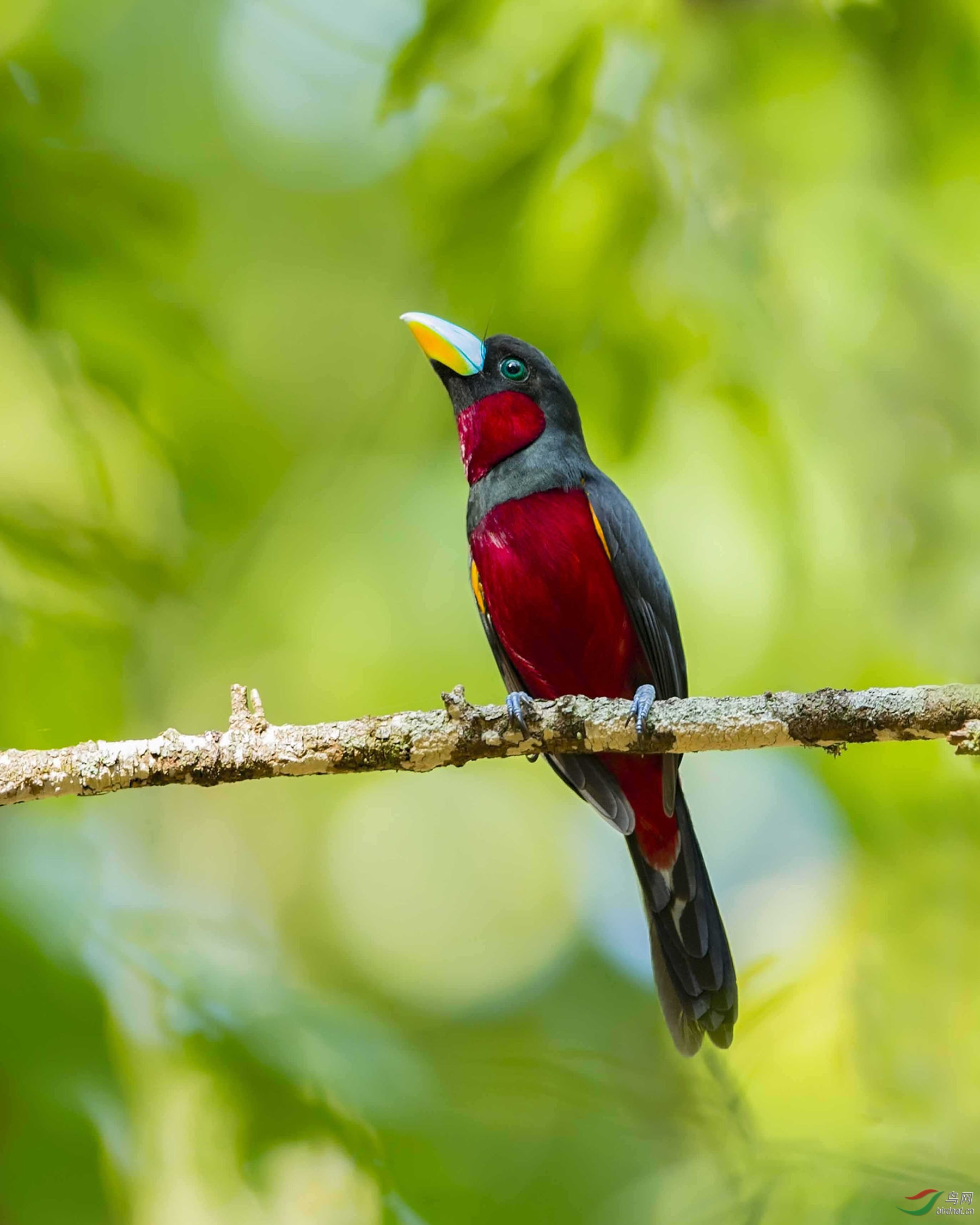 �ں�������