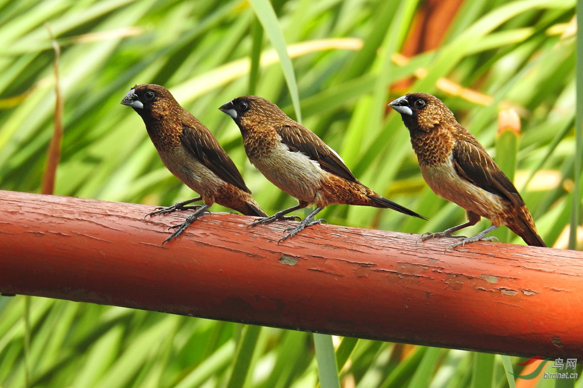 DSCN4326 ����.jpg