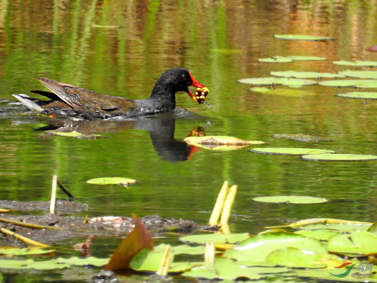 DSCN4480 ����.jpg