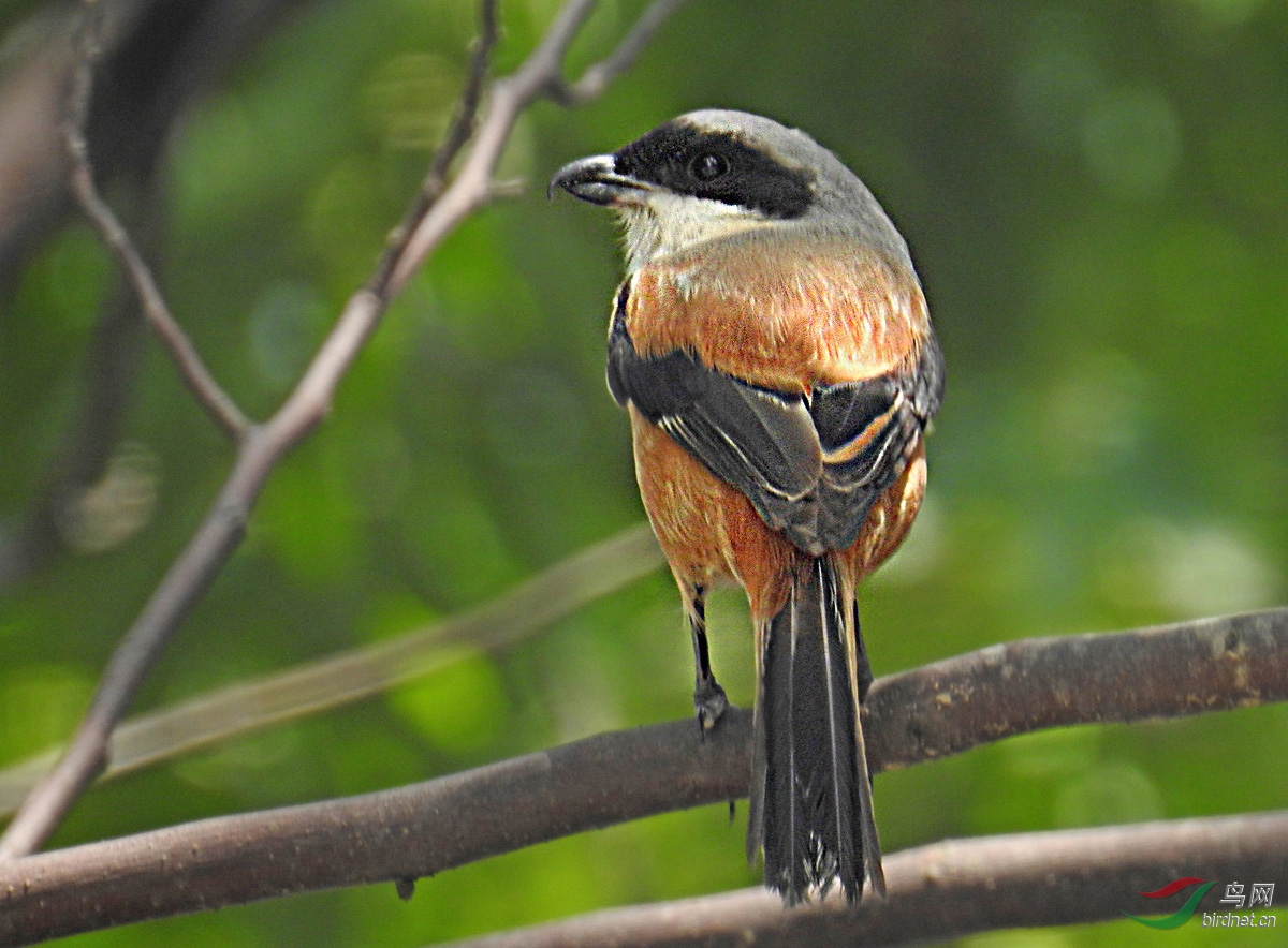 DSCN4356 ����.jpg