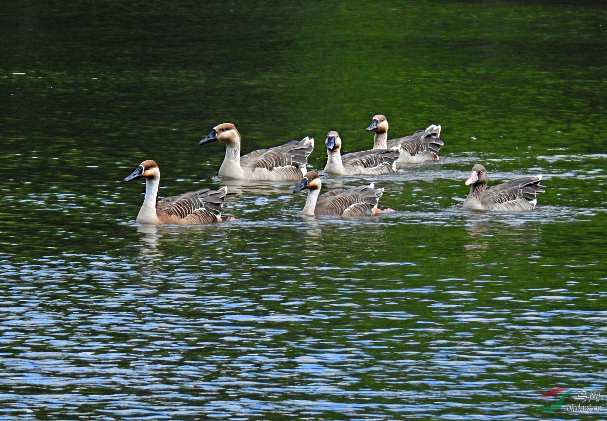 DSCN4098 ����.jpg