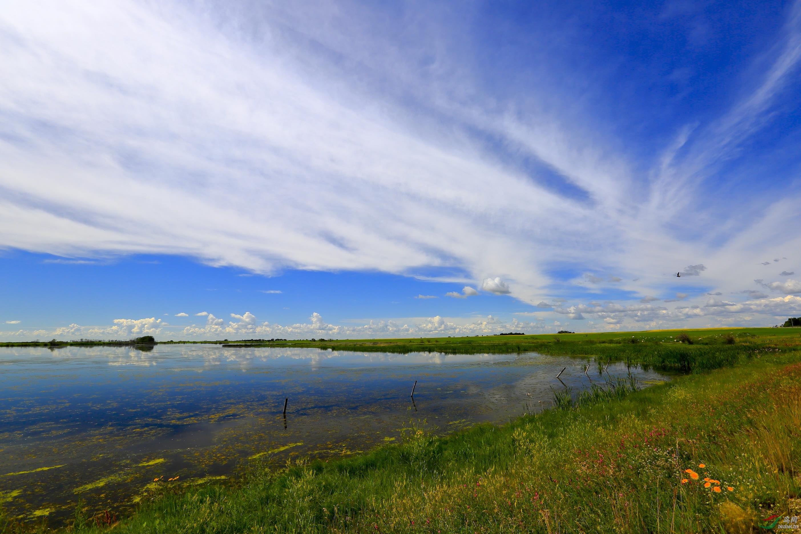 美丽的大自然,美丽的天空