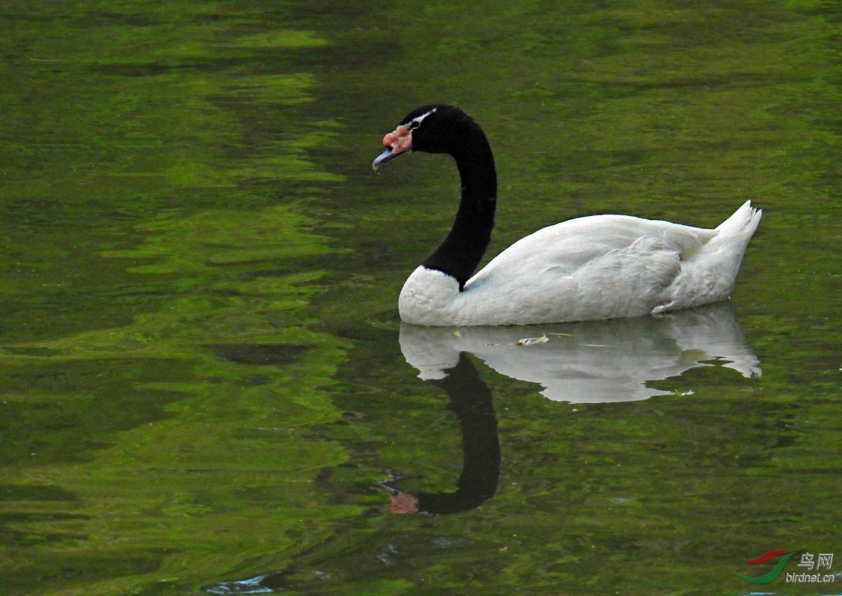 DSCN4090 ����.jpg