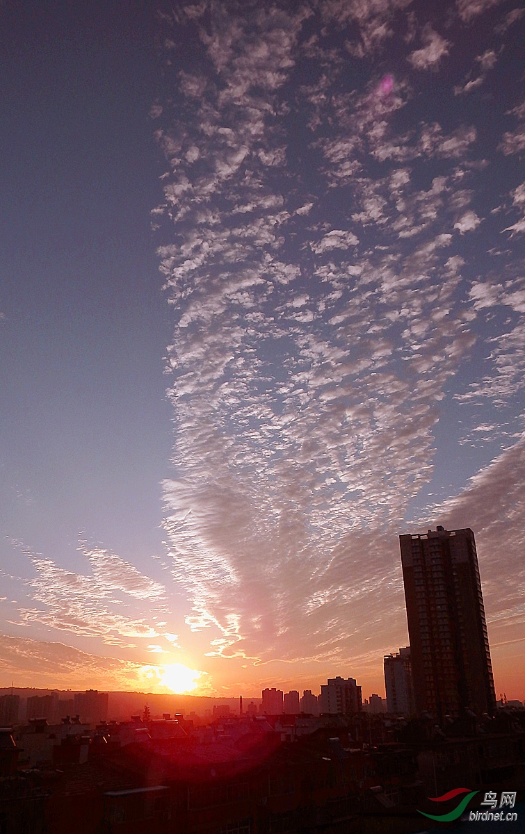 朝霞