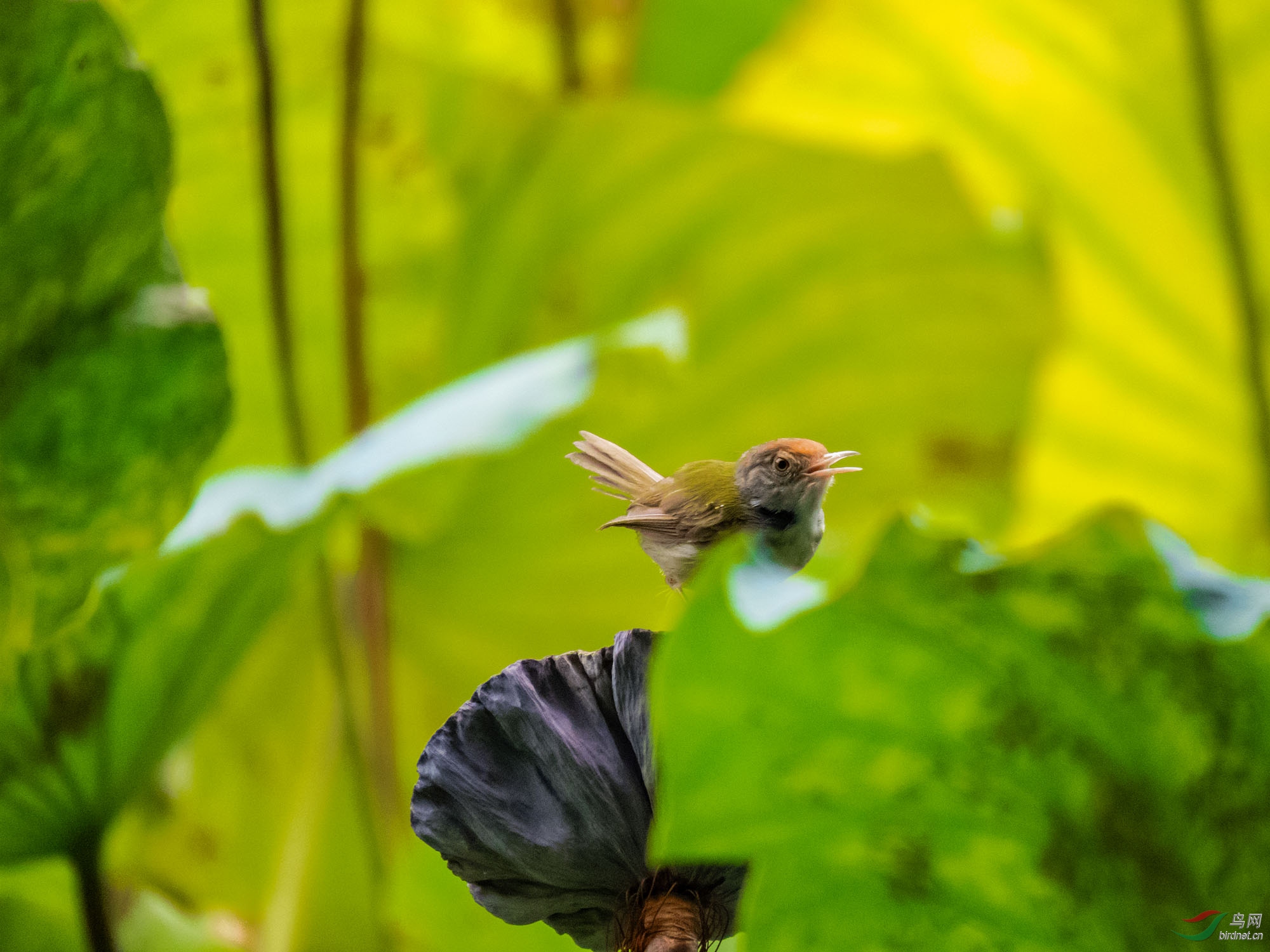 f6.5 1/400 iso1000 4-247 247����
