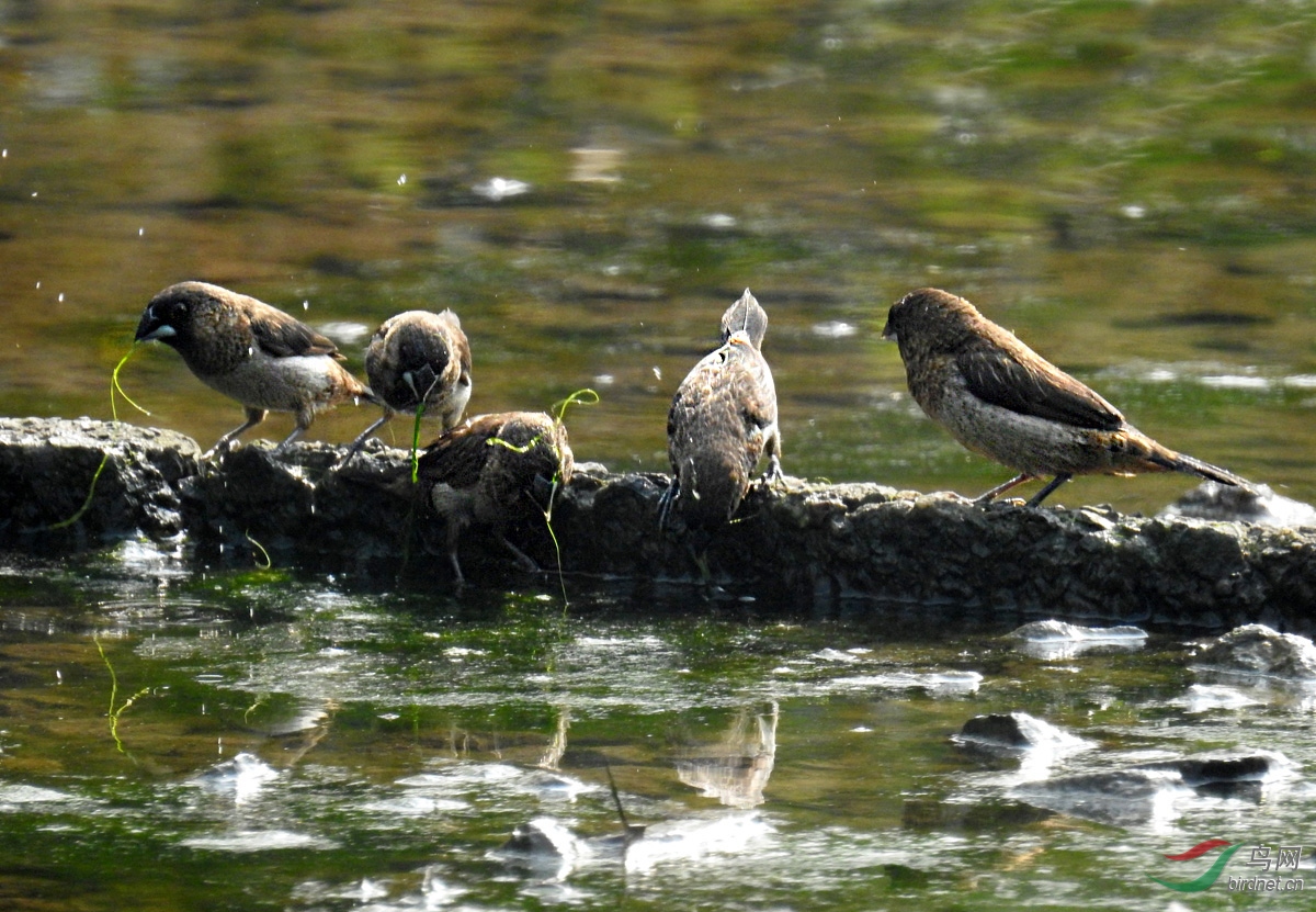 DSCN4808 ����1.jpg