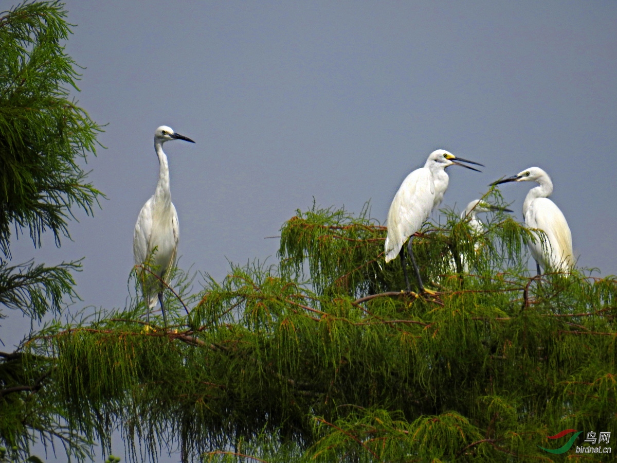 DSCN4876 ����.jpg