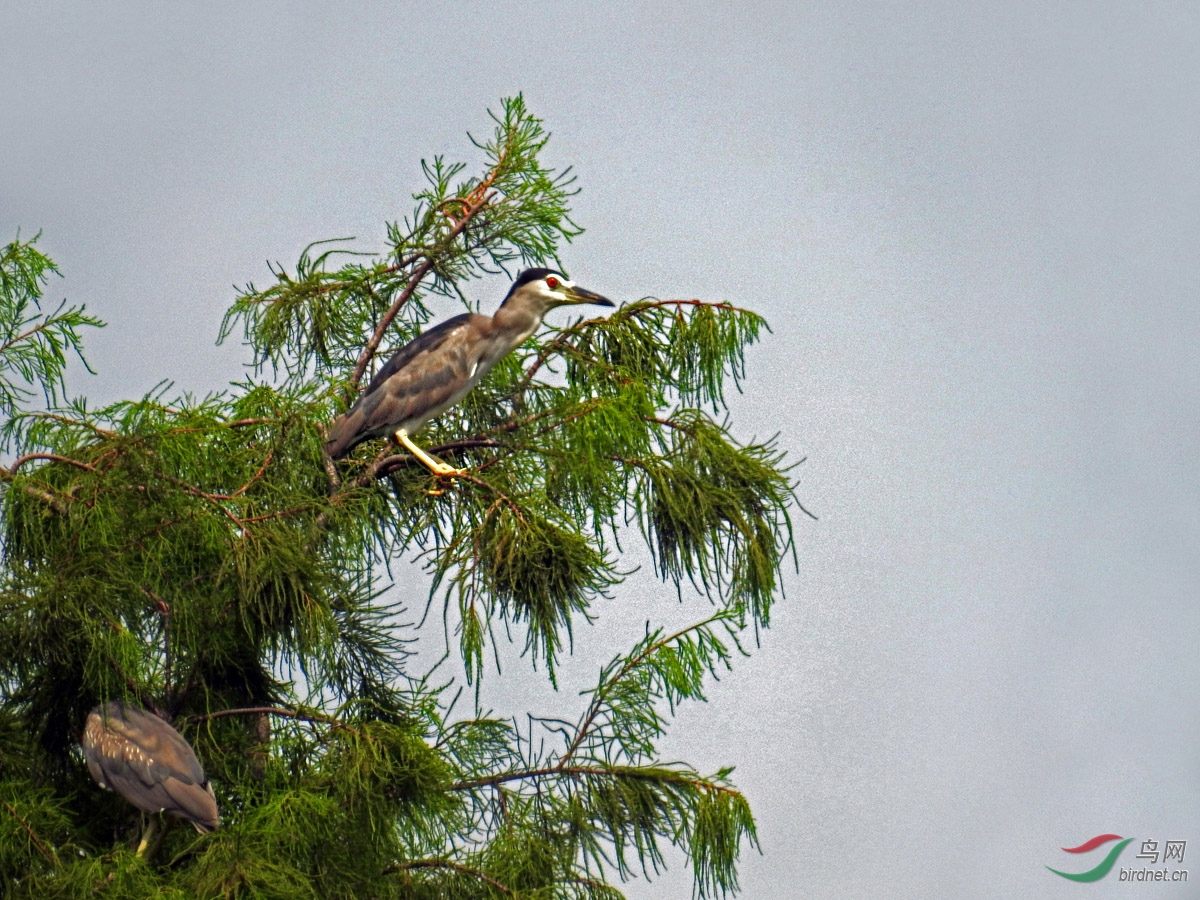 DSCN4886 ����.jpg