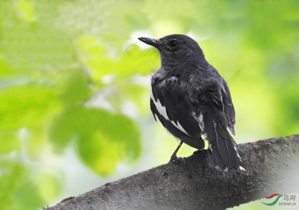 DSCN4906 ����.jpg