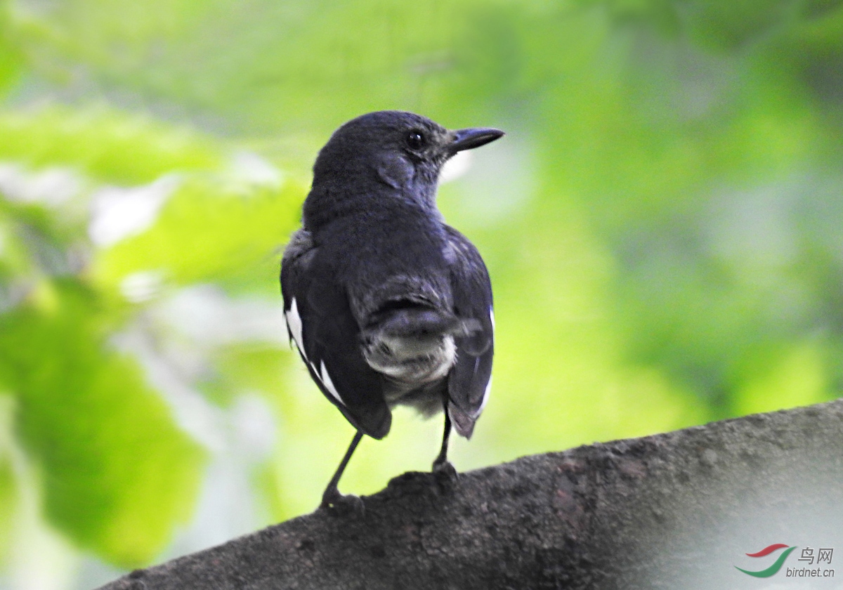 DSCN4904 ����.jpg