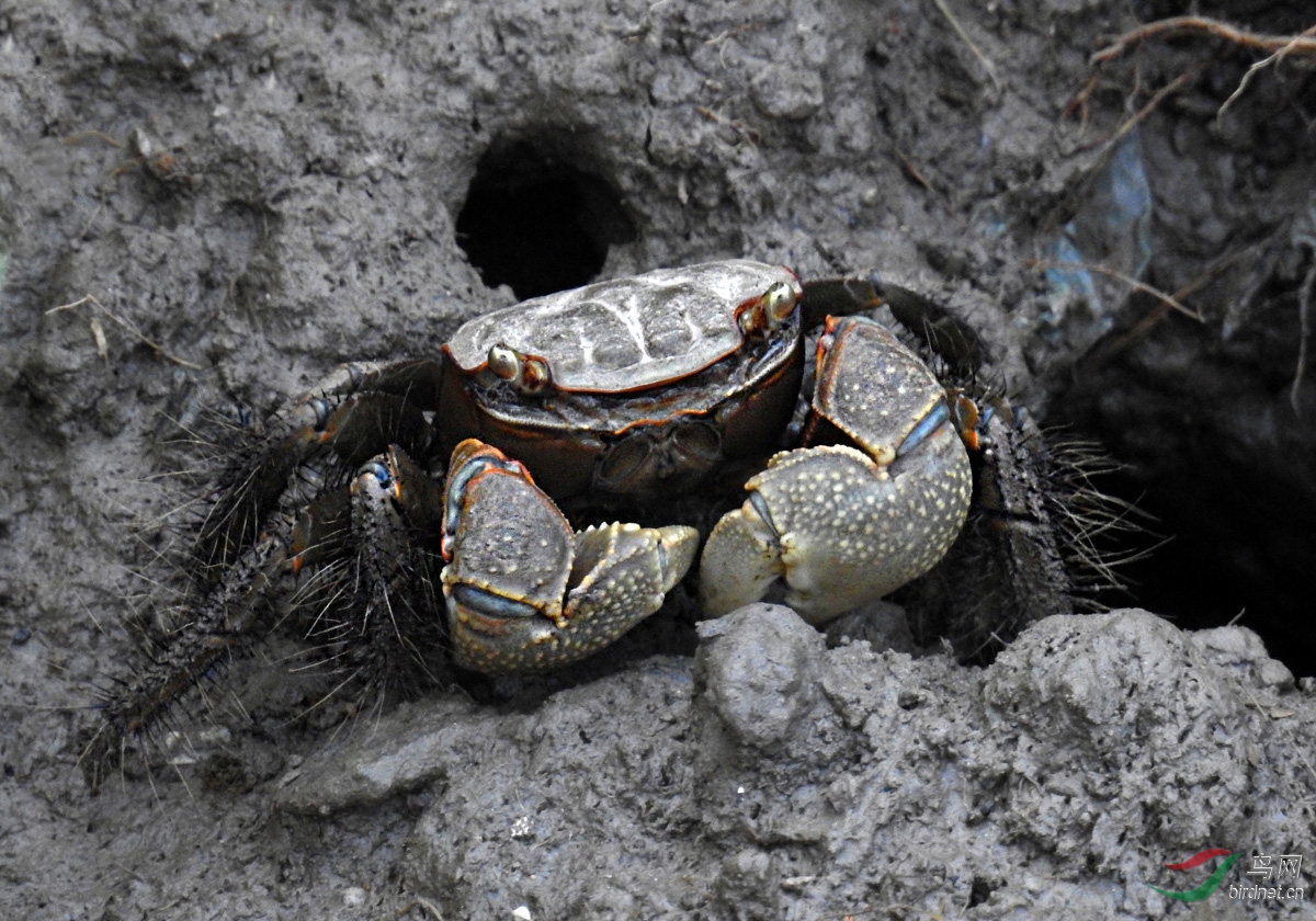 DSCN4750 ����.jpg