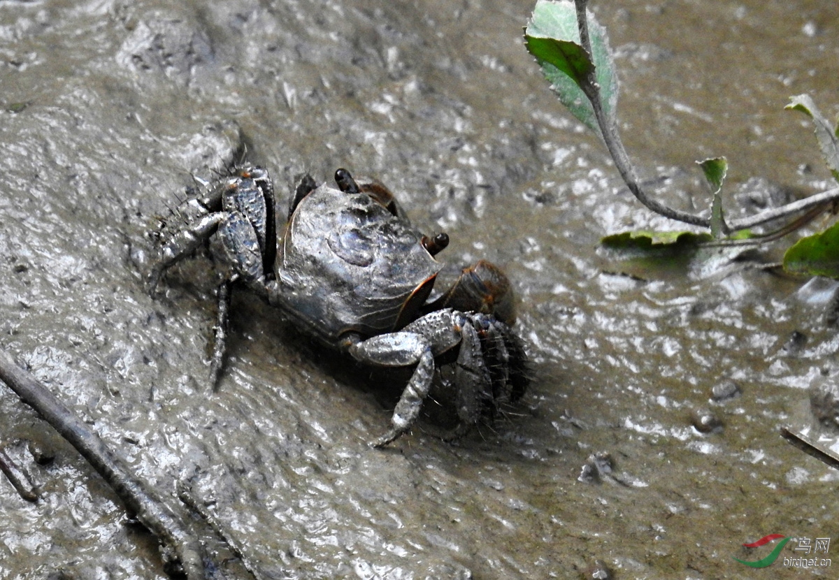 DSCN4753 ����.jpg