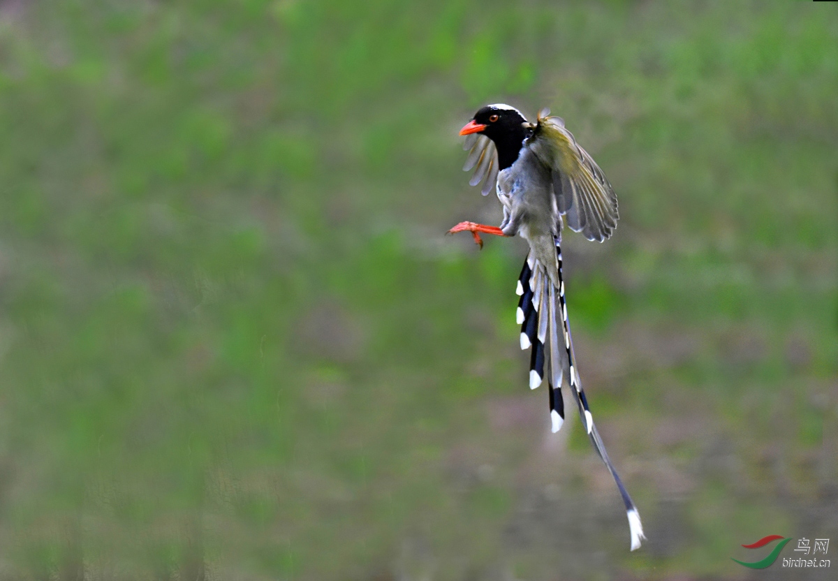 DSC_2711 ����.jpg