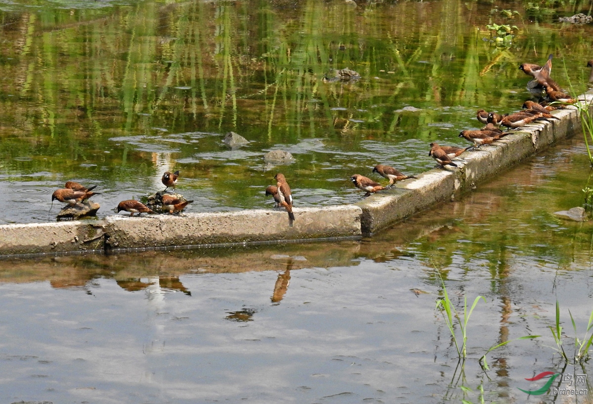 DSCN4675 ����.jpg