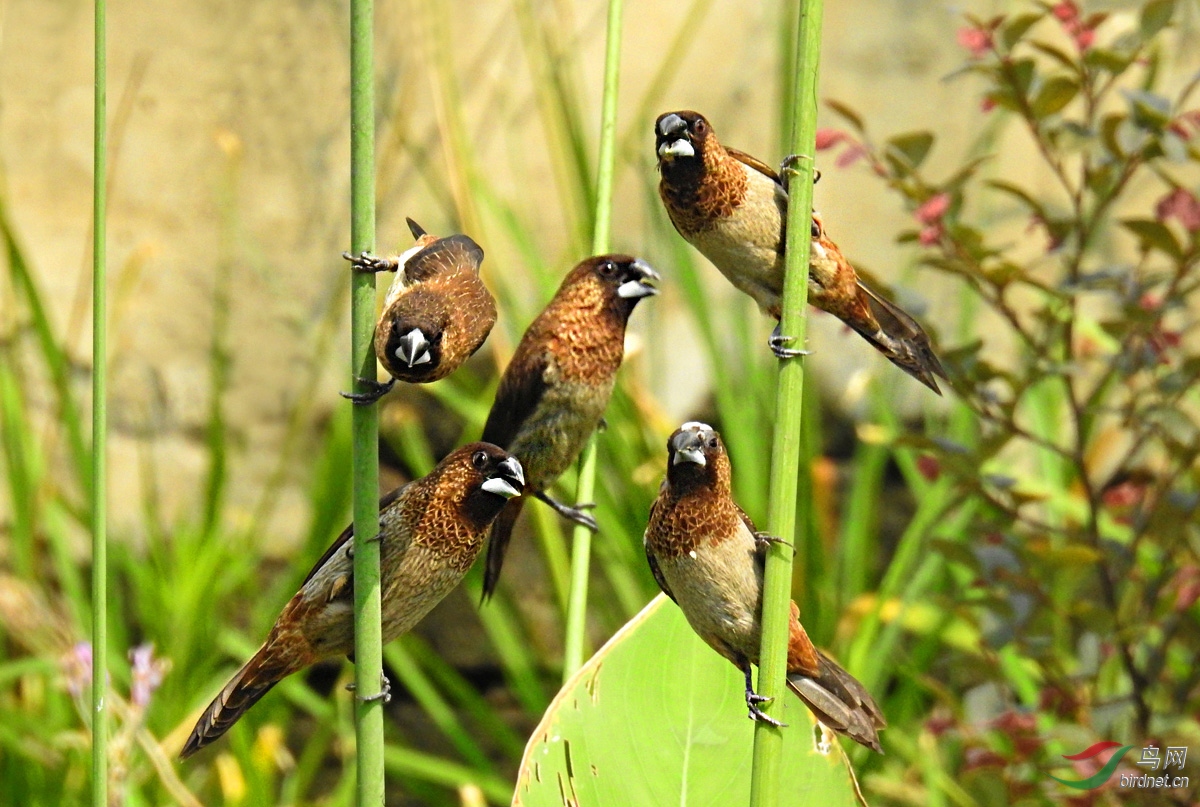 DSCN4653 ����.jpg