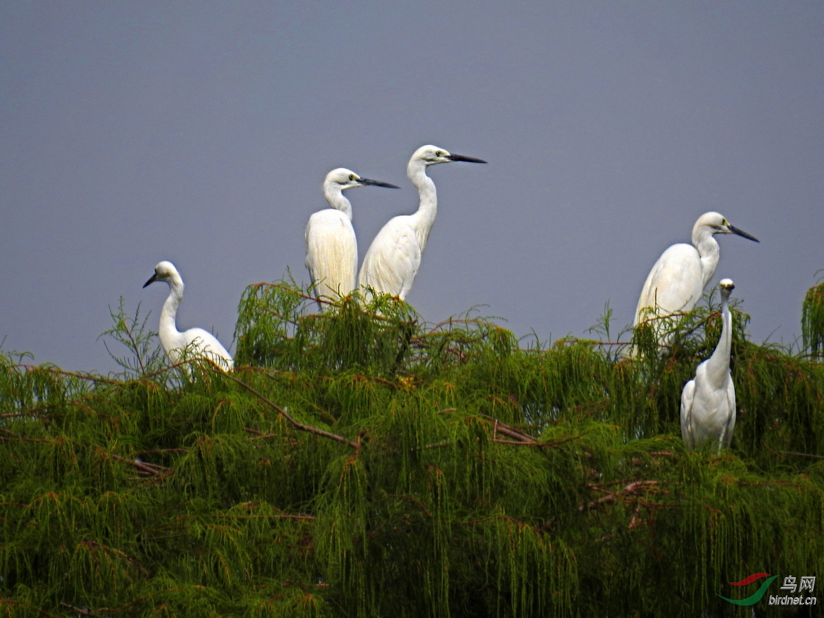 DSCN4880 ����.jpg