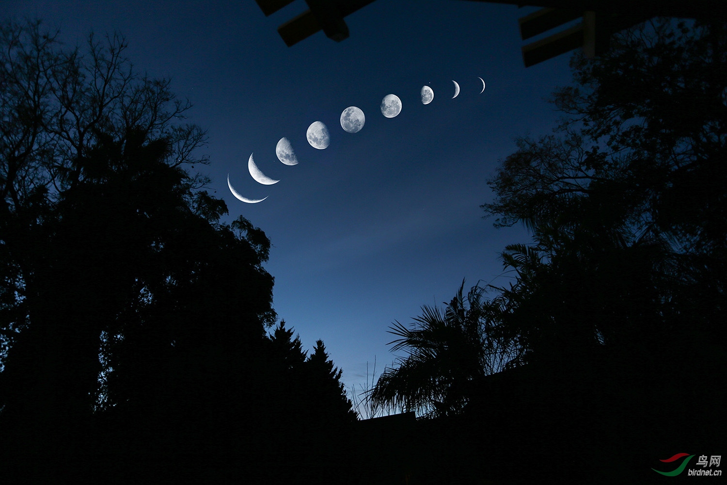 南半球澳洲拍的月相图