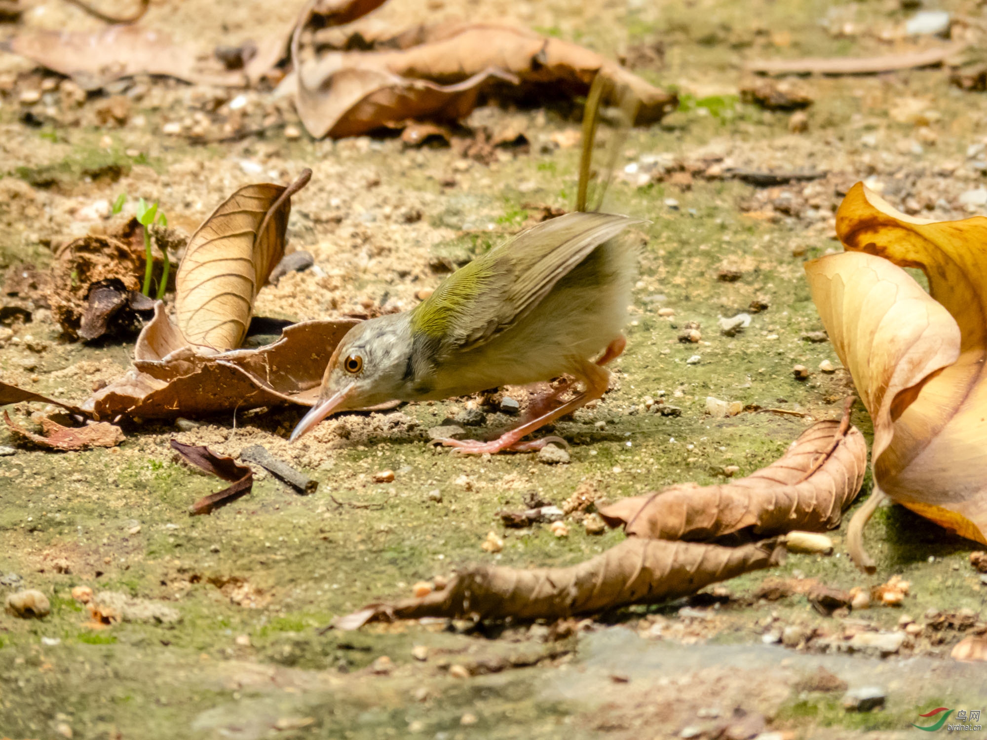 247.0 ����f/6.5 1/320 iso500