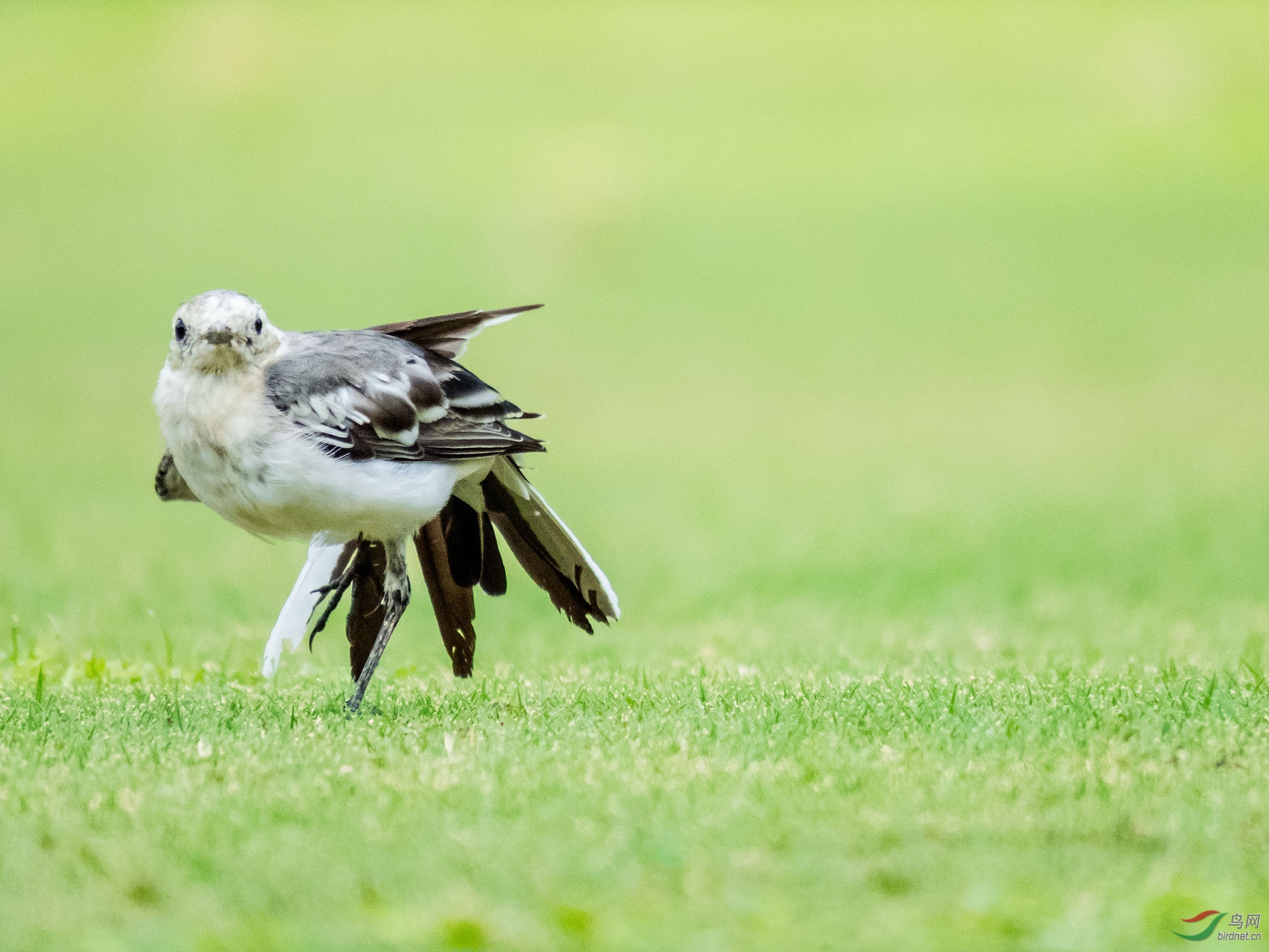 ����Լ9��