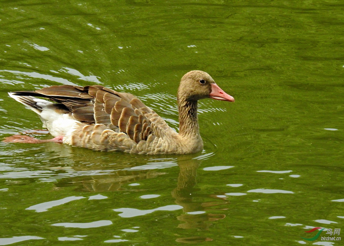 DSCN4894 ����.jpg