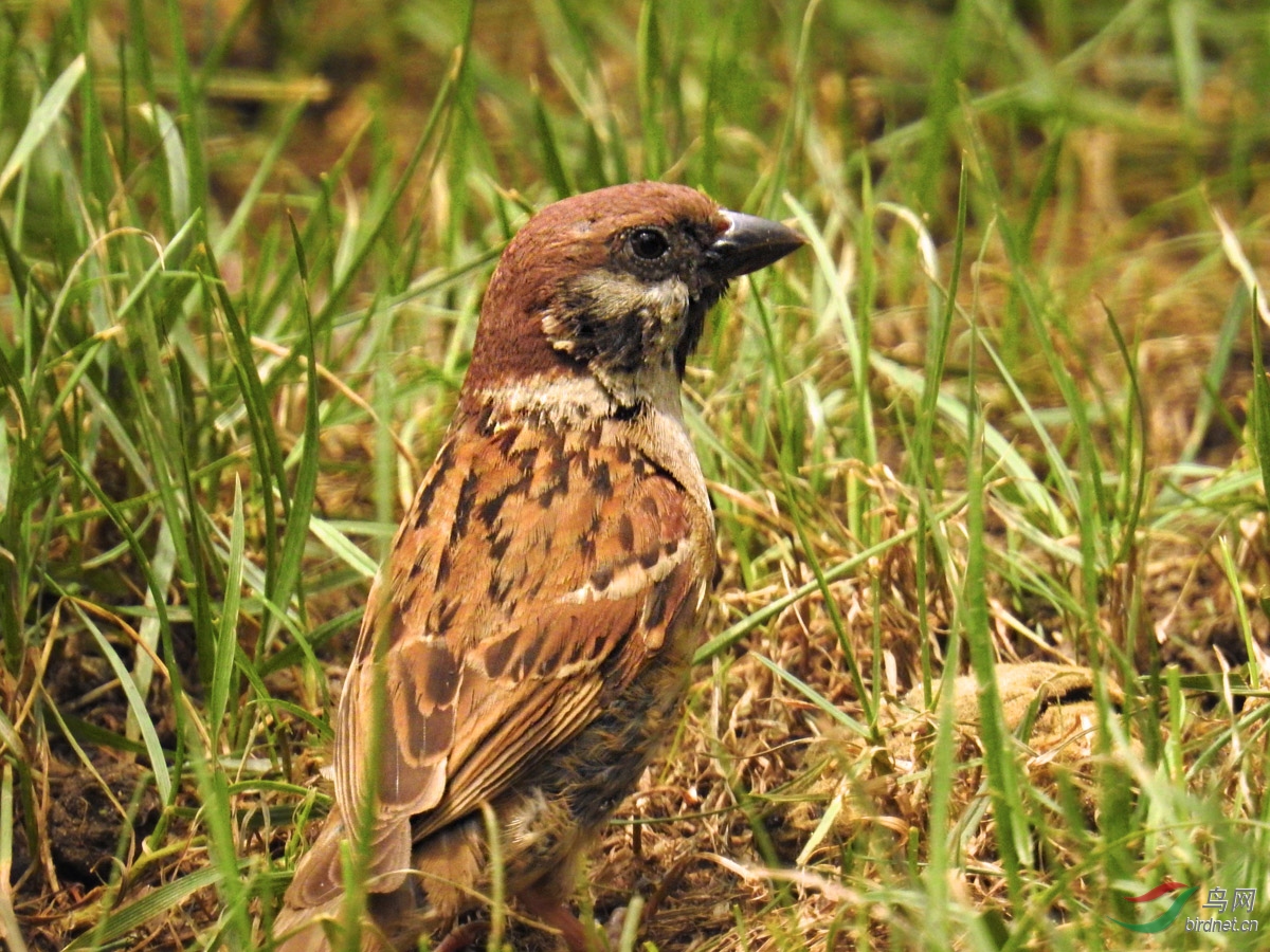 DSCN4988 ����.jpg