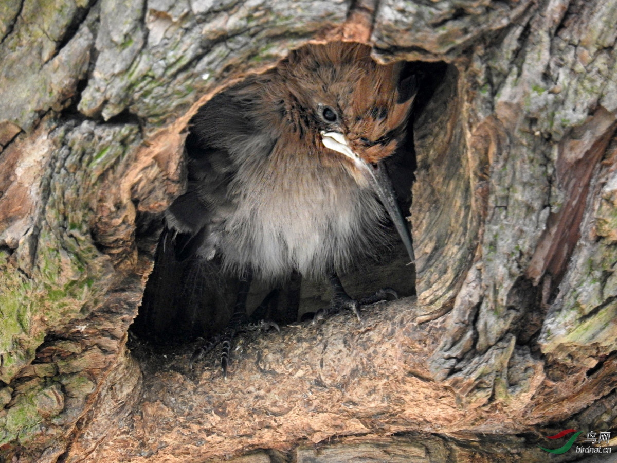 DSCN4078 ����.jpg