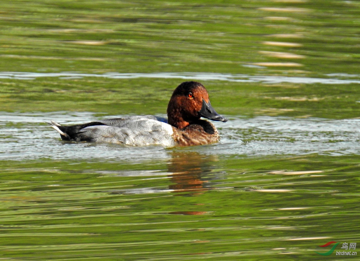 DSCN3050 ����.jpg