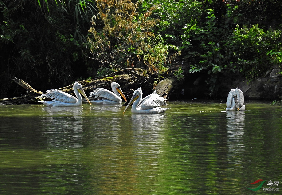 DSCN3080 ����.jpg