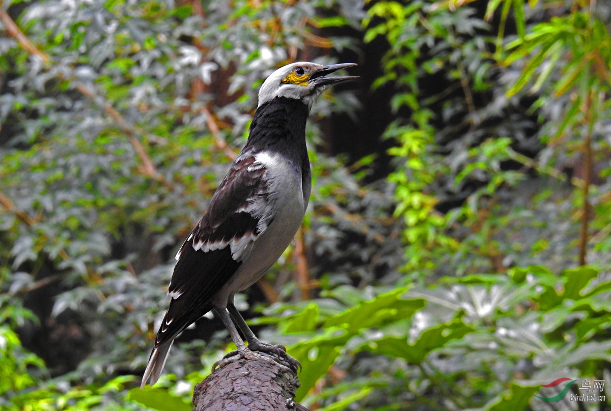 DSCN3234 ����.jpg