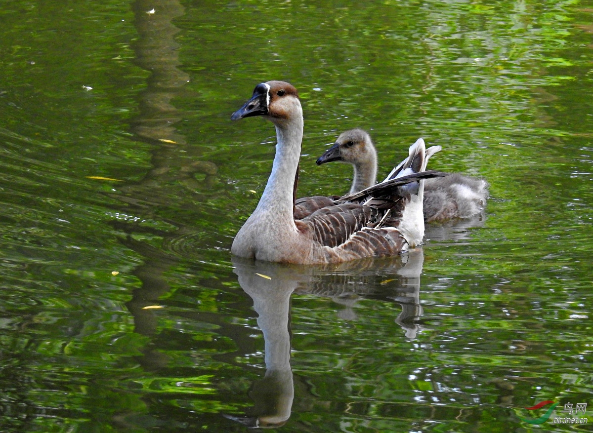 DSCN3114 ����.jpg