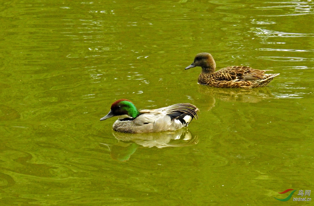 DSCN2665 ����.jpg