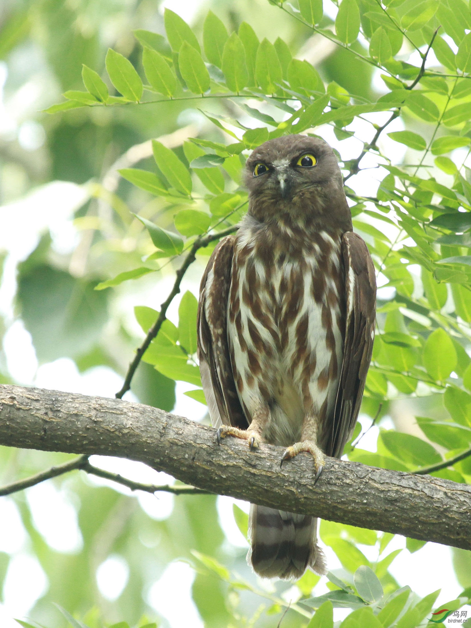 鹰鸮北面的颐和园