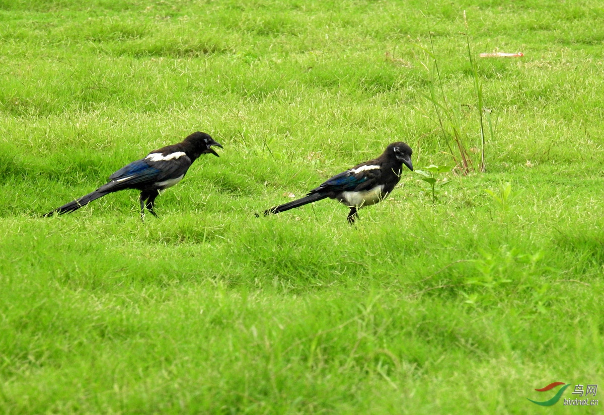 DSCN5058 ����.jpg