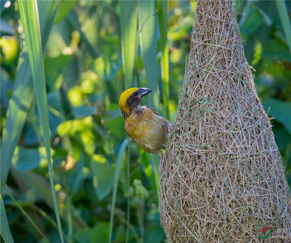 ���룺15��