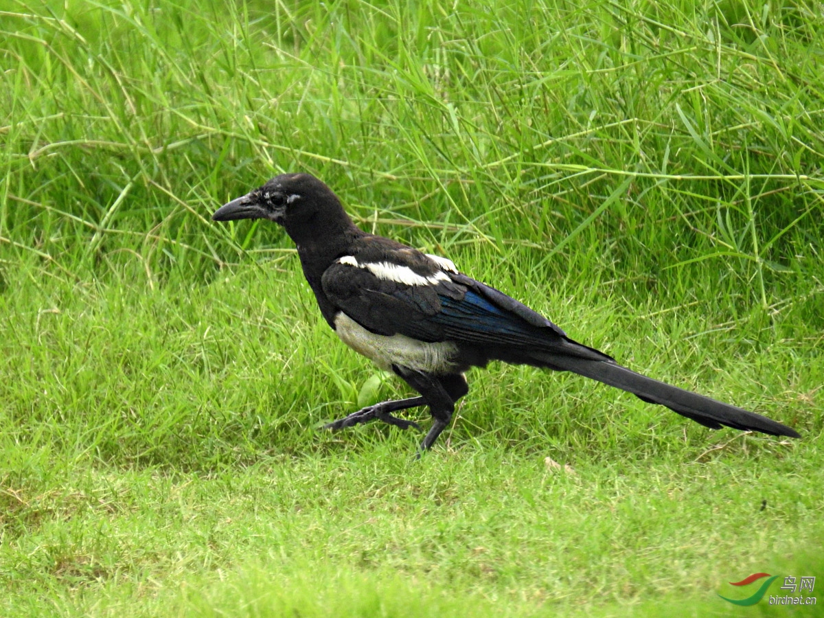 DSCN5047 ����.jpg