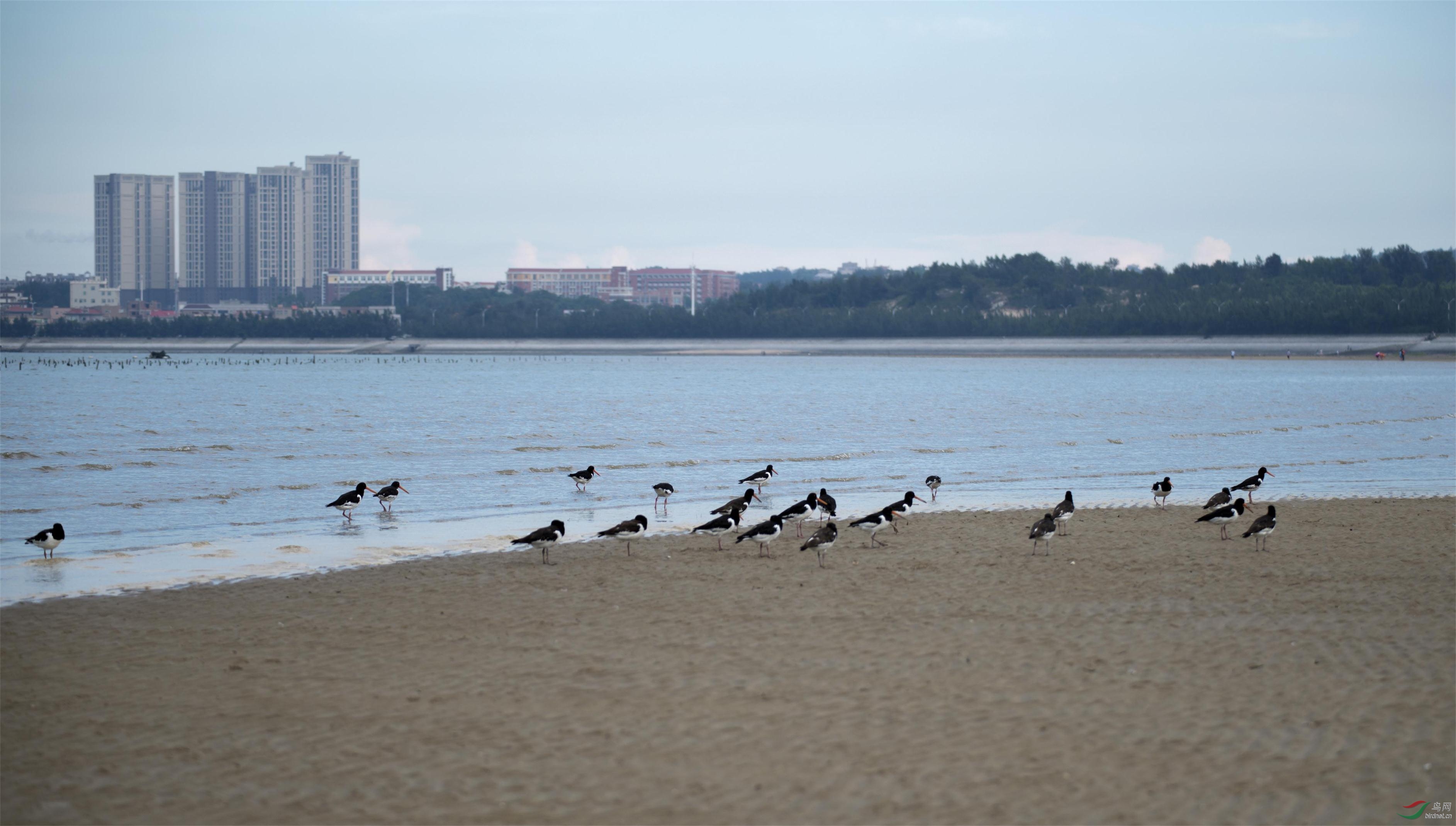 20170822优美生态古浮湾 (1).jpg