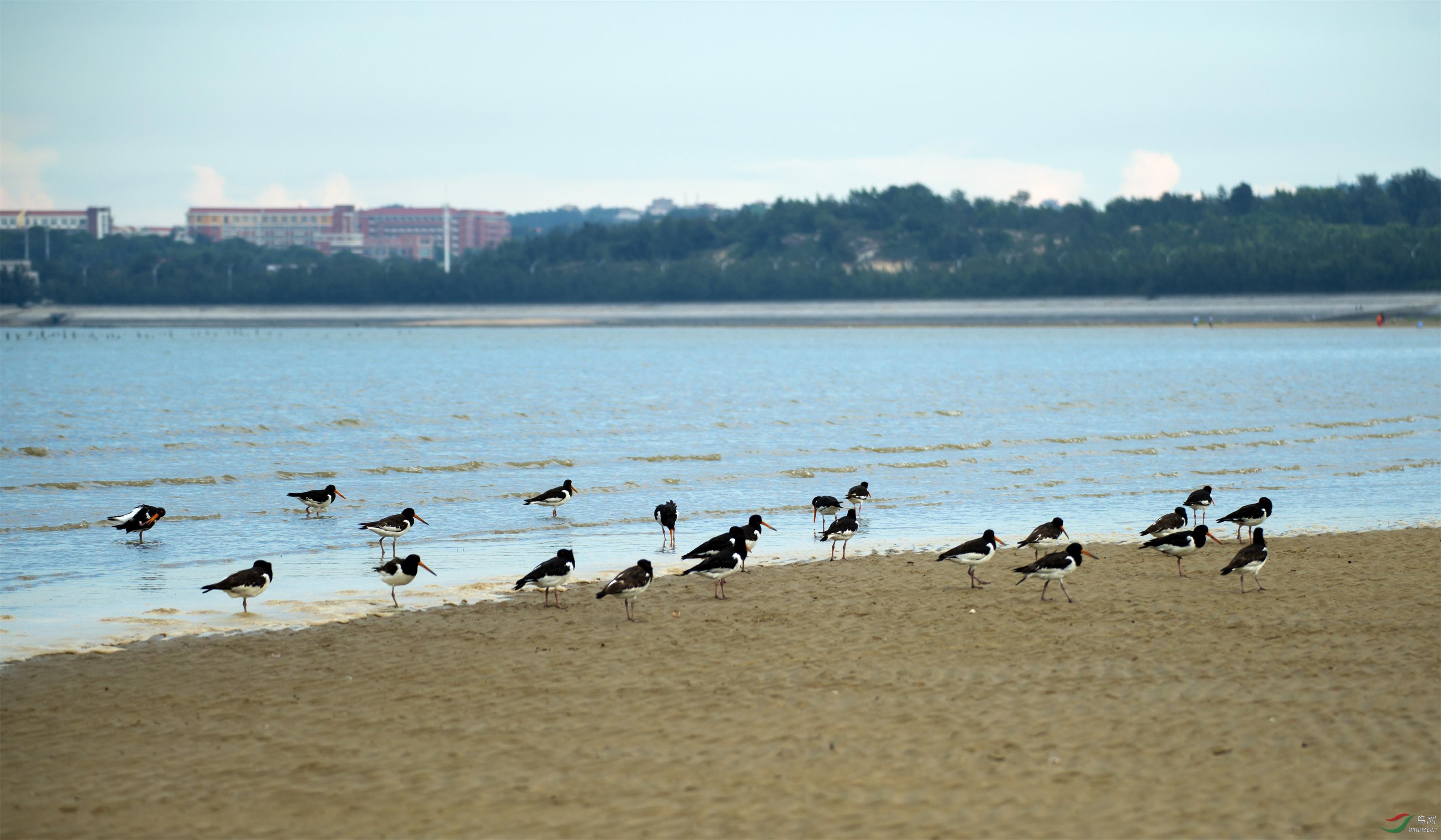 20170822优美生态古浮湾 (2).jpg