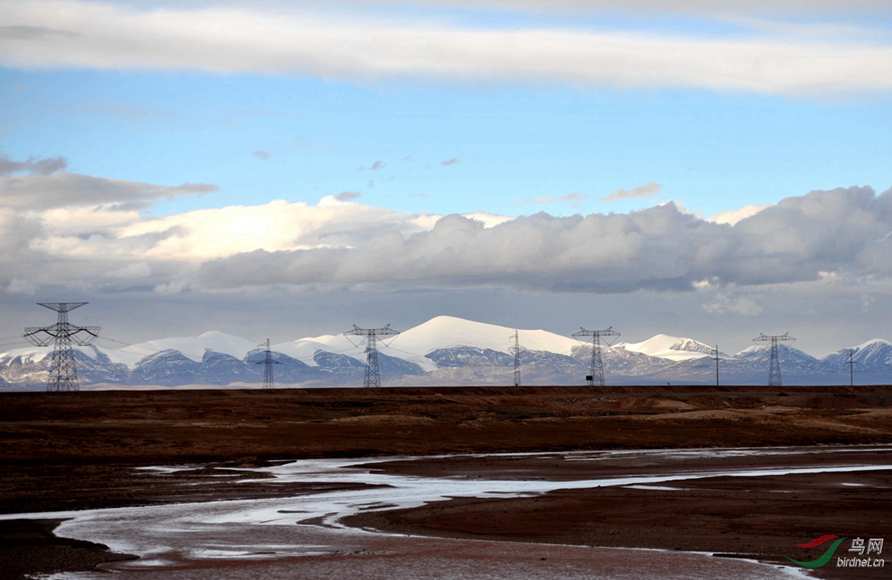 青藏高原风光美