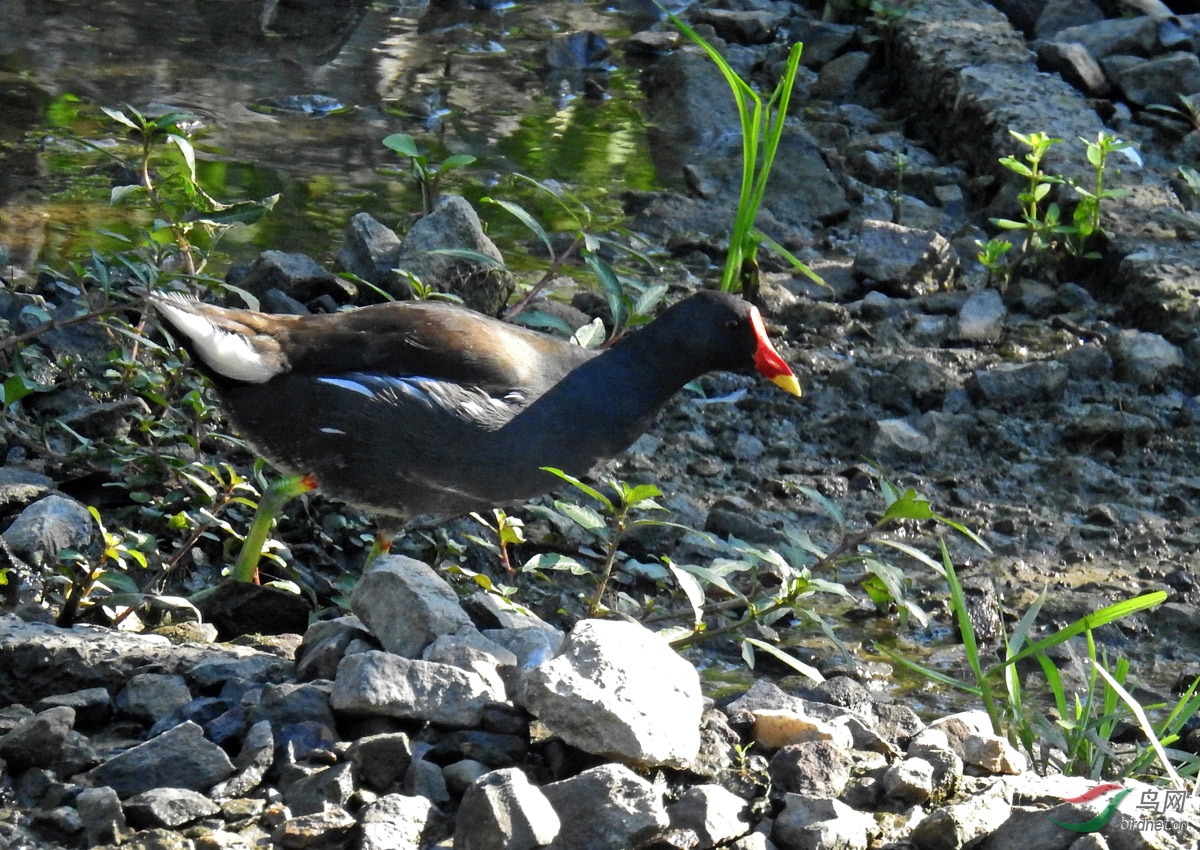 DSCN5471 ����.jpg