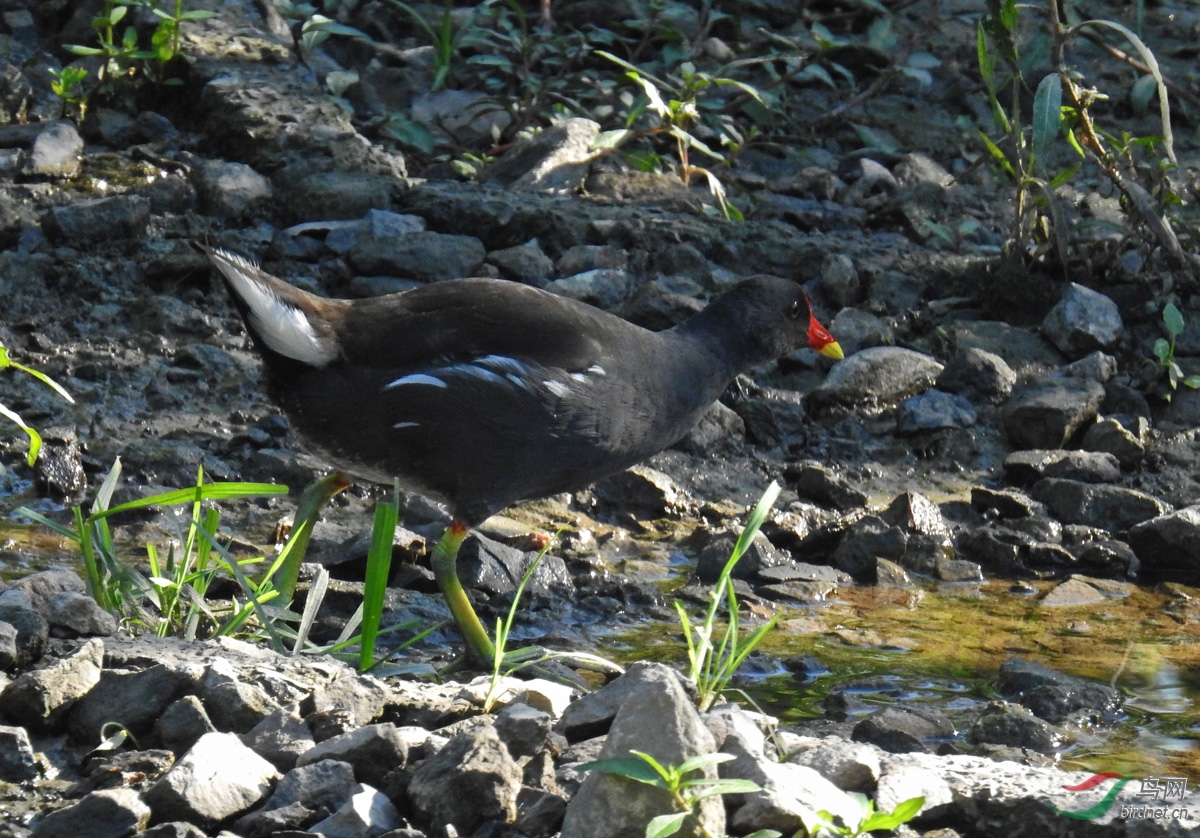 DSCN5472 ����.jpg