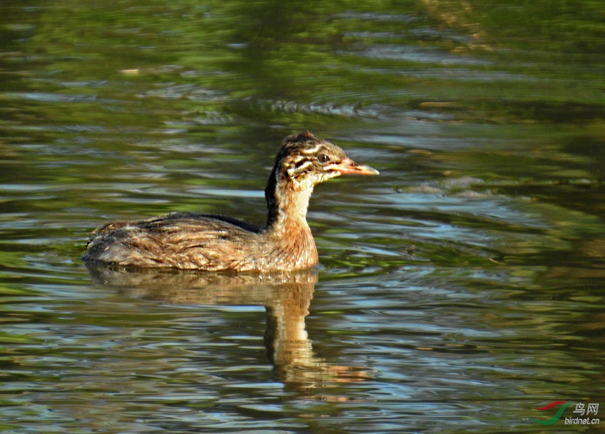 DSCN5348 ����.jpg