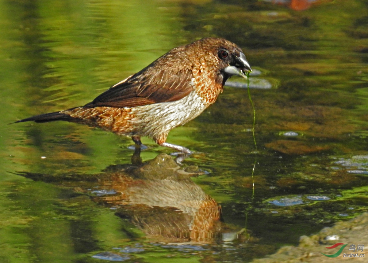 DSCN5403 ����.jpg