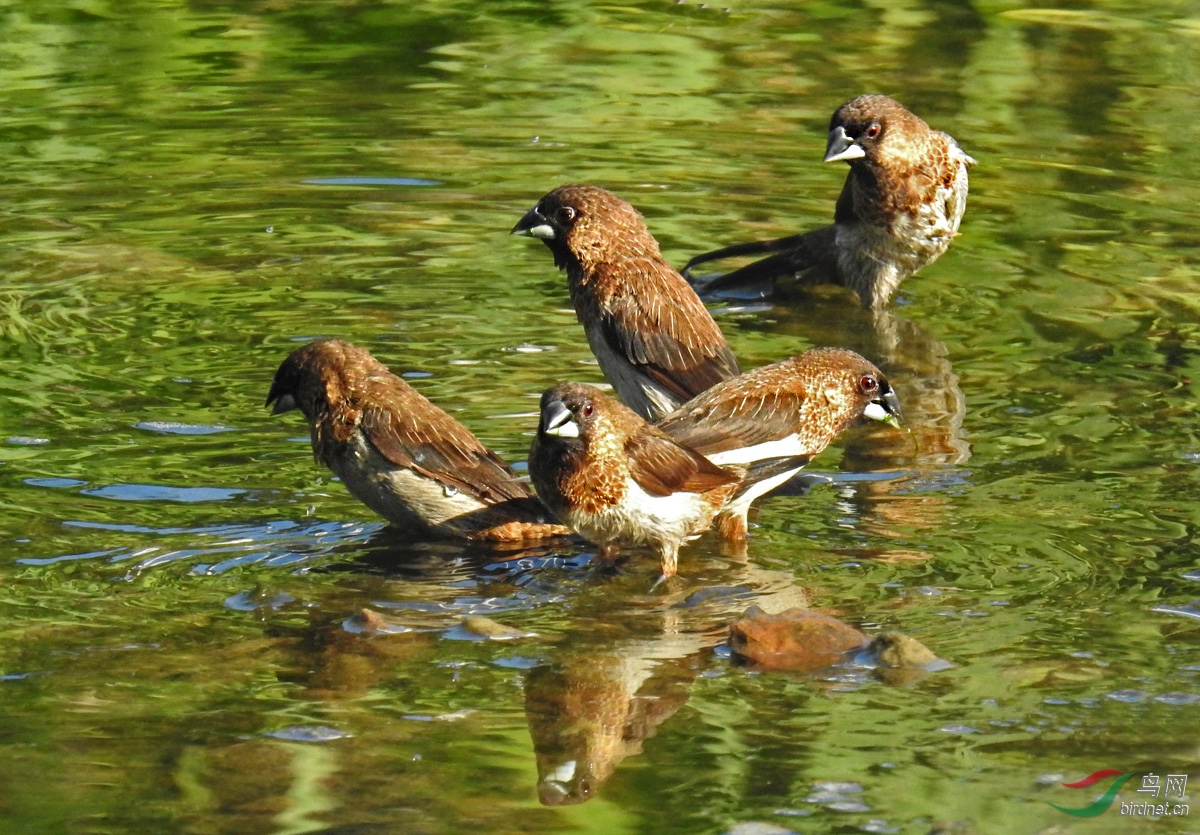 DSCN5409 ����.jpg