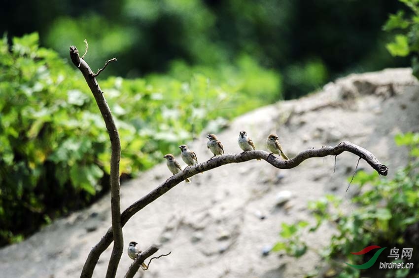 DSC_0003 (2) 850.jpg