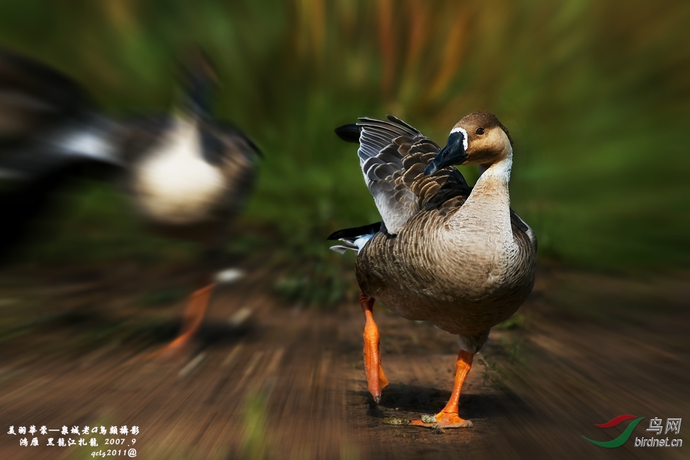 ���� - ����.jpg