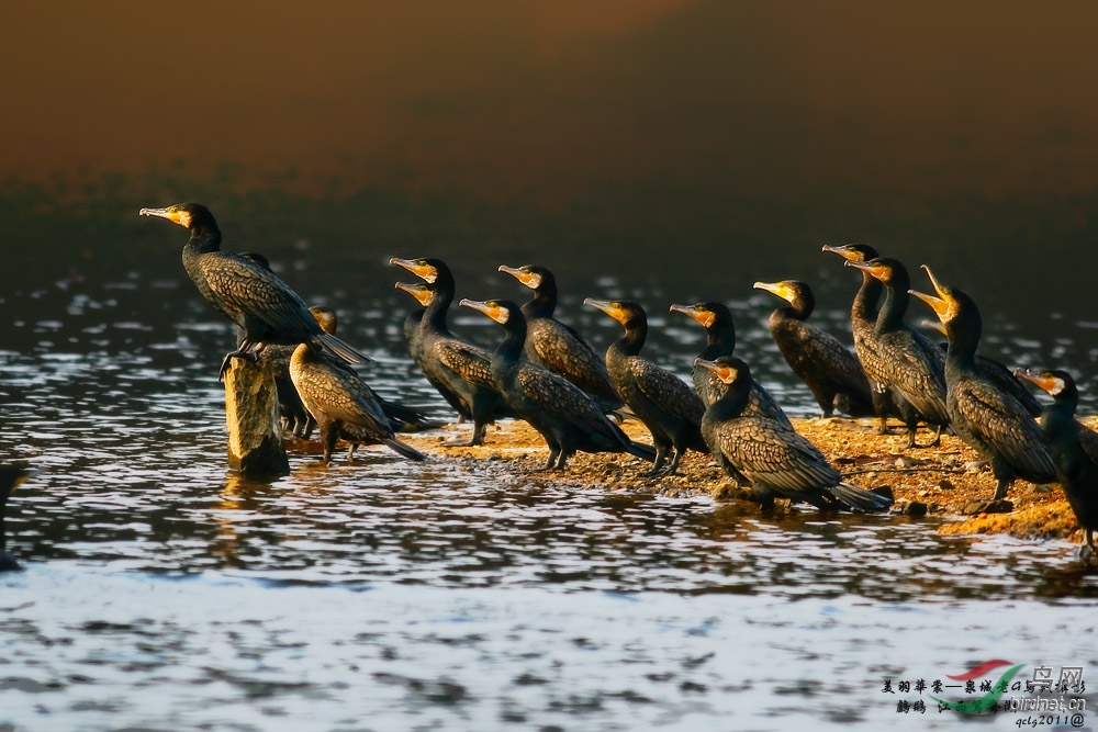 ��� - ����.jpg