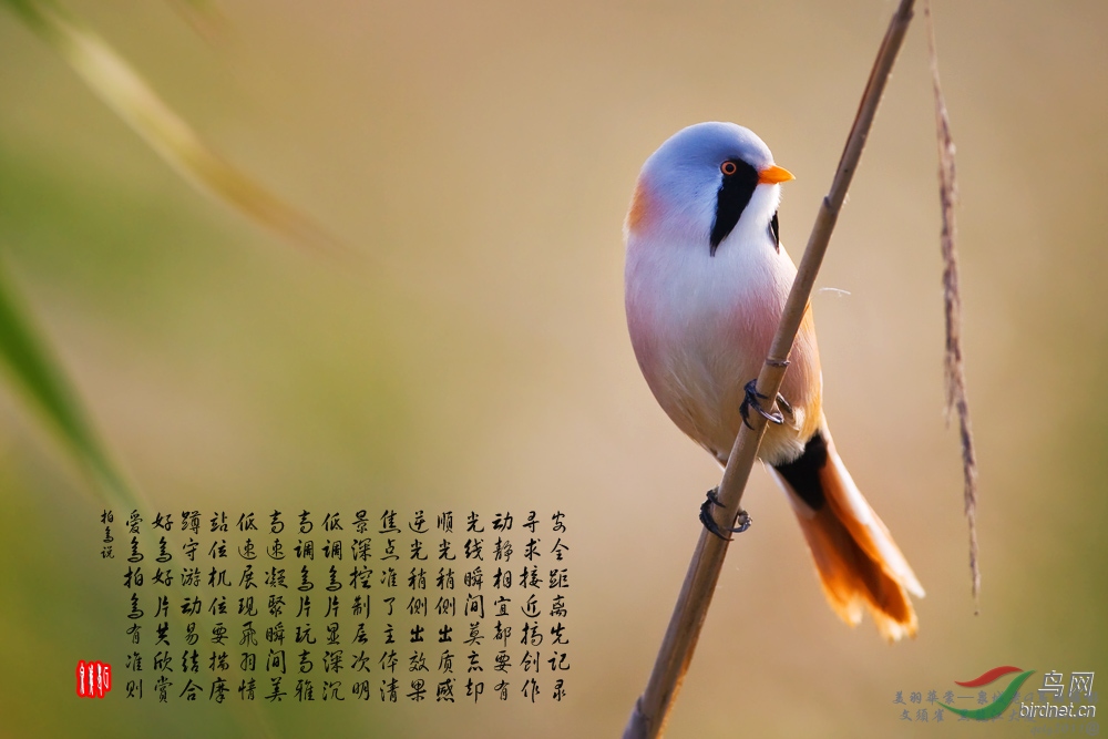 ����ȸ - ����.jpg