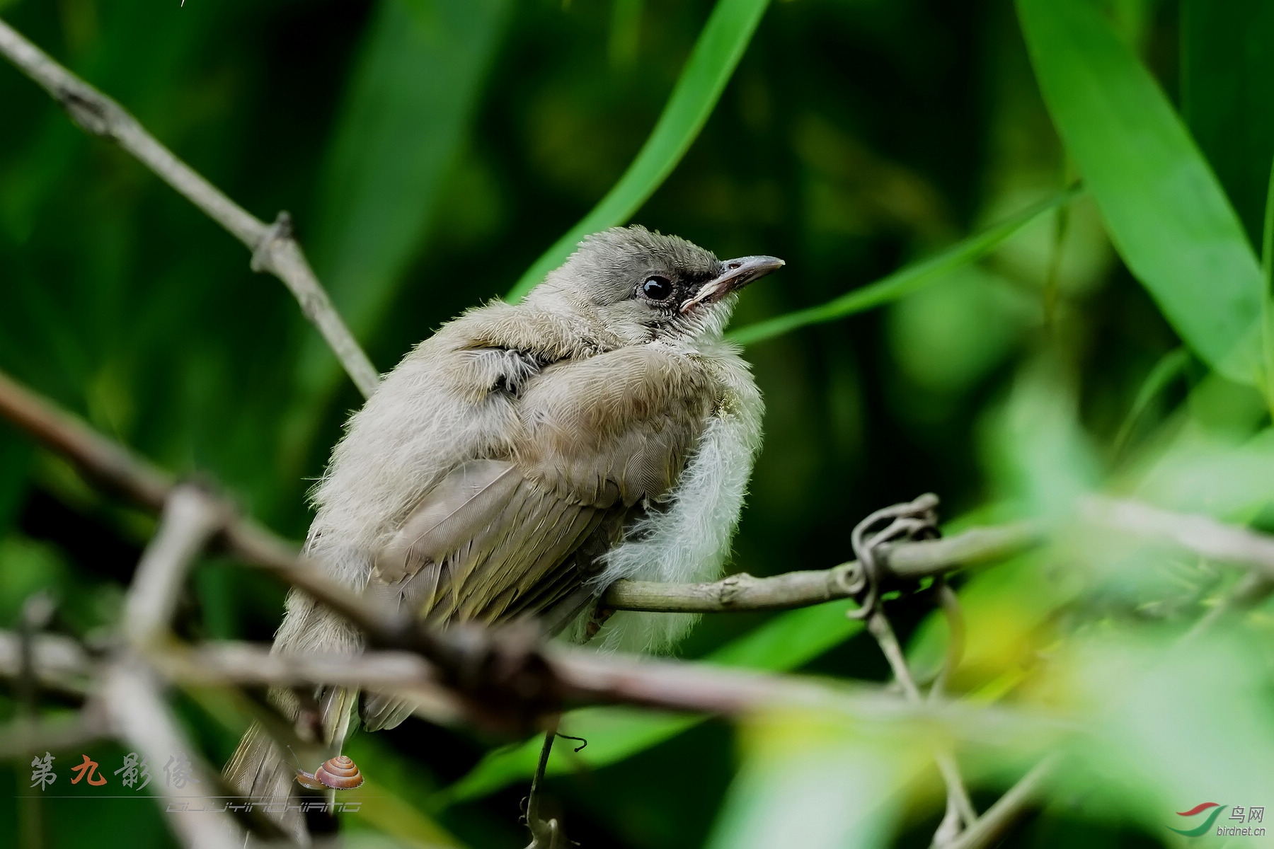 E-M1 MK2170713_334-1.1.jpg